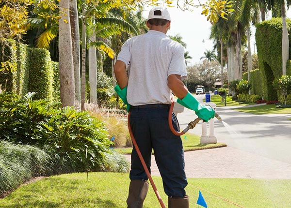 About East Flat Rock NC Pest Control